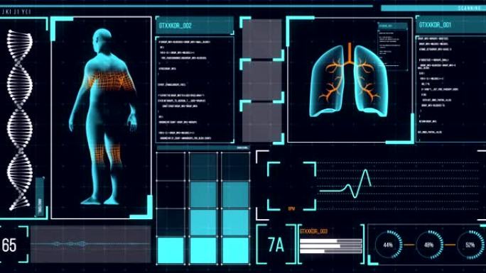 在屏幕上分析人体动画，分析肺和心跳，医学信息