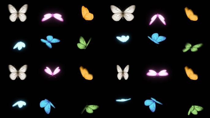 六种蝴蝶修改方便渲染快