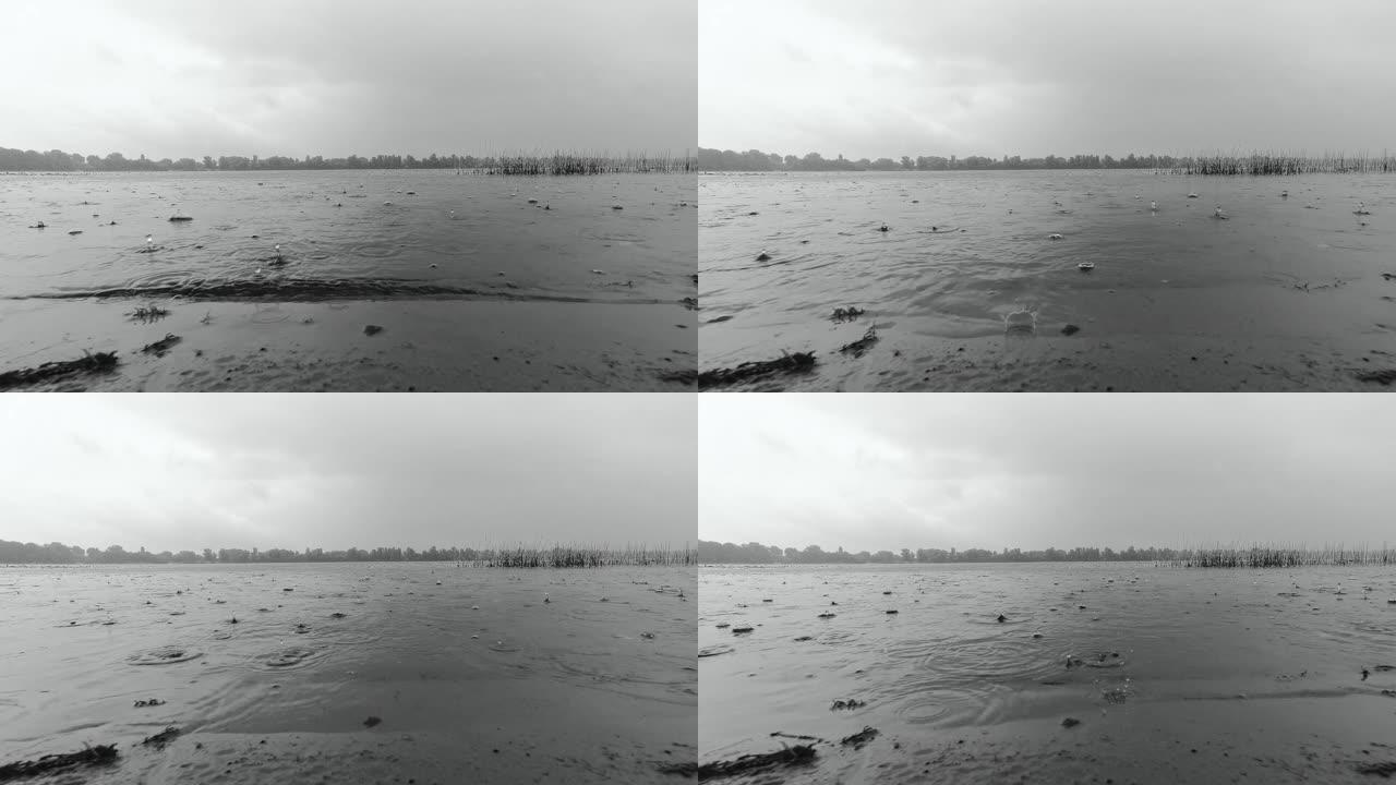 雨中河流的表面，在森林和河岸的背景下黑白视频