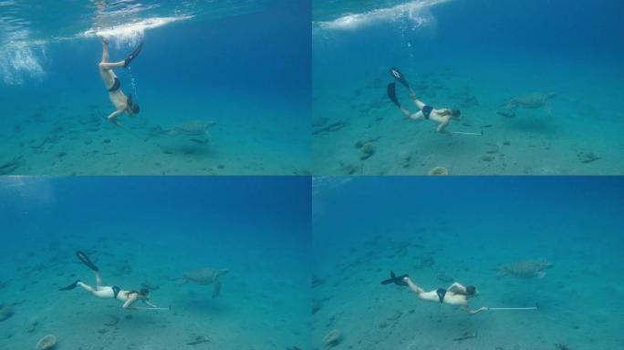 海。一个戴着水下面具和鳍的人在一只大乌龟旁边的海里游泳。埃及。