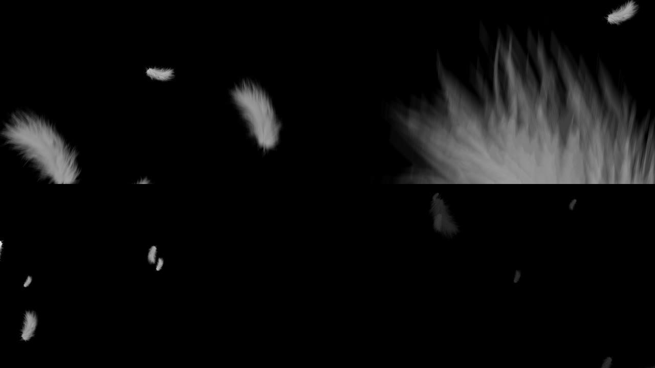 黑色背景上的白色蓬松羽毛在空中飞翔