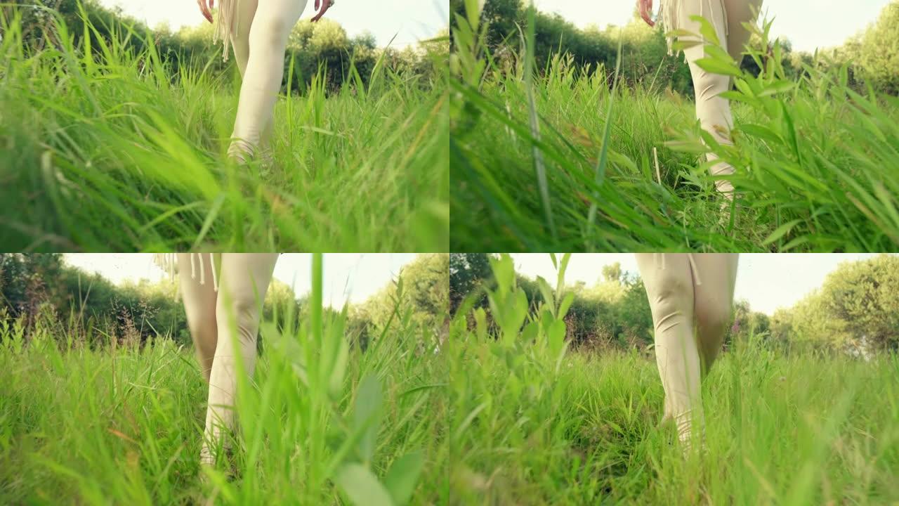 一个苗条女孩的腿穿过田野，穿过高高的草丛。