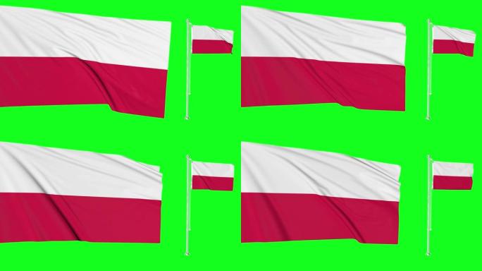 绿屏波兰两面旗帜挥舞着波兰旗杆动画3d色度键