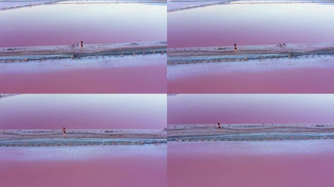 乌克兰粉红色盐湖附近奔跑的一名妇女的风景鸟瞰图
