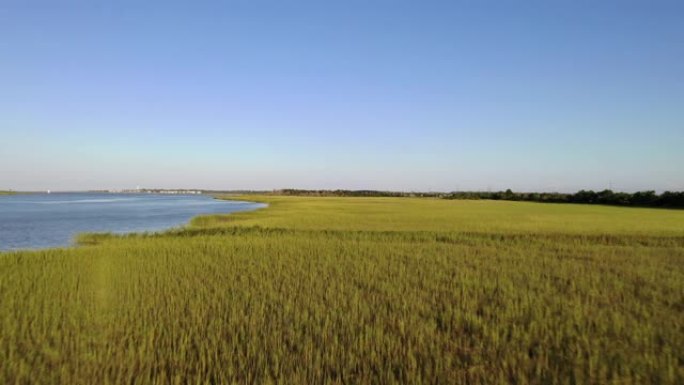 萨凡纳河沿岸的航拍湿地