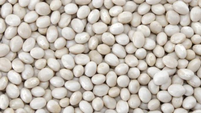 白芸豆有机顶视图纹理，蛋白质健康食品，高清1920 × 1080-视频片段。