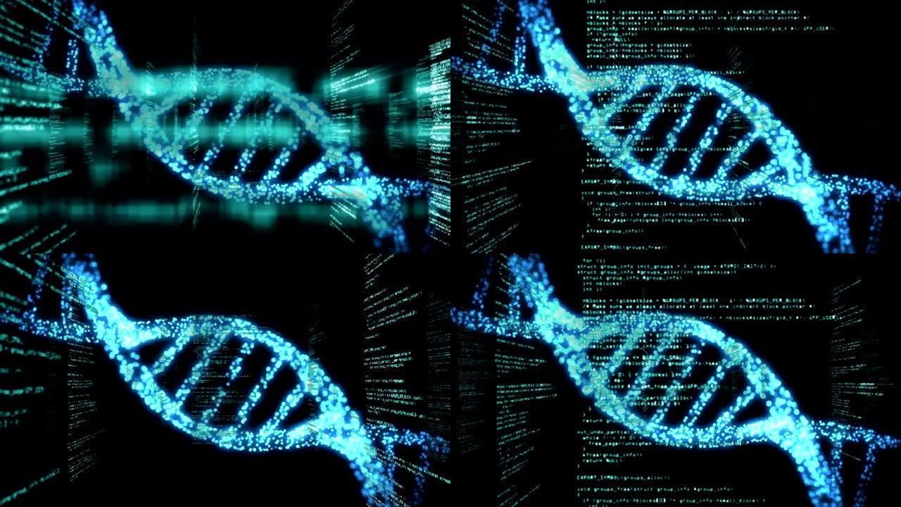 冠状病毒covid19大流行期间数据处理和蓝色DNA的动画