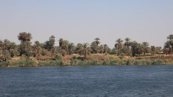 埃及尼罗河和景观的跟踪镜头
