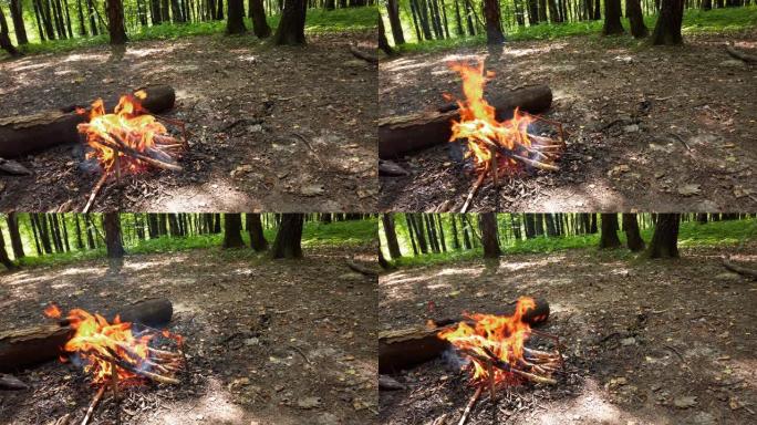 在森林里放火。