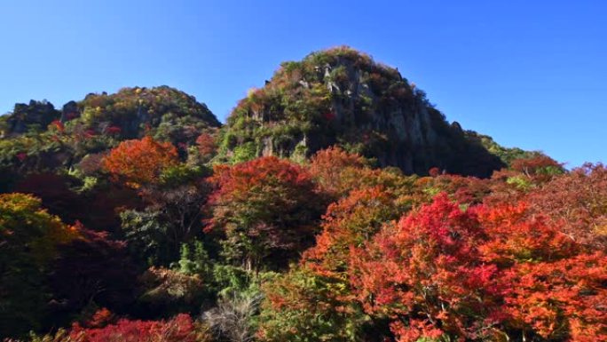 新亚坝峡谷的秋叶。日本大分县Yabakei。