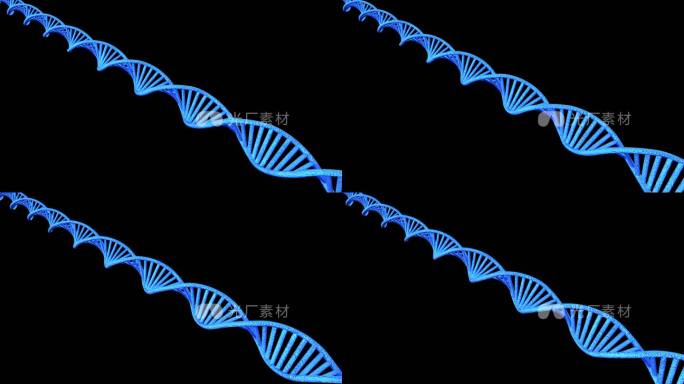 DNA基因链无缝循环