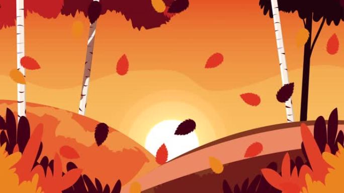 你好秋天动画与叶子在森林日落场景