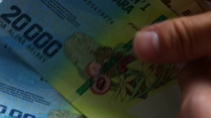 从马达加斯加数钱，各种钞票，数额大