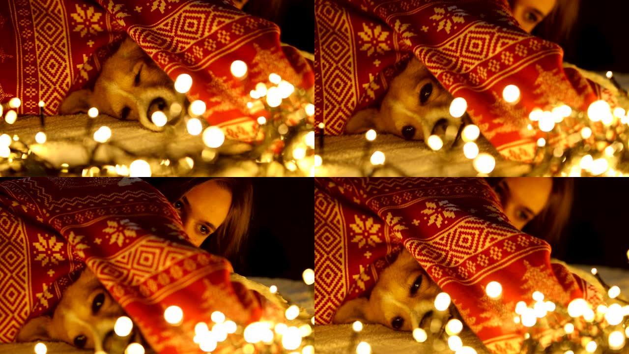 年轻漂亮的女孩和她的狗在舒适的圣诞节气氛中享受。除夕夜与狗玩耍