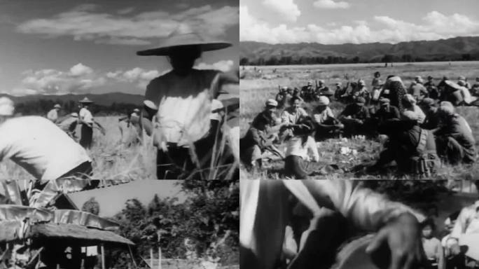 60年代 云南傣族人民 庆祝农业丰收