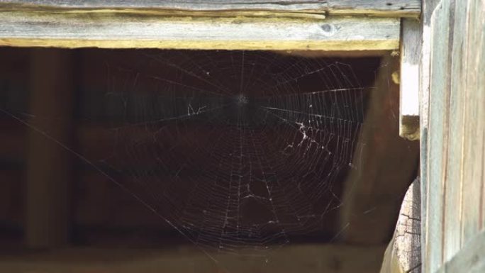 旧谷仓门角的蜘蛛网