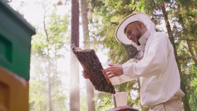 年轻的大胡子养蜂人穿着白色防护服，留在蜂箱中，然后转动蜂箱框架检查它。上面有很多蜂窝和蜜蜂。一些蜜蜂