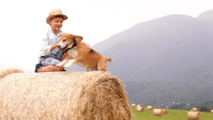 小男孩坐在一堆干草里叫他的狗上来，狗上来逃跑