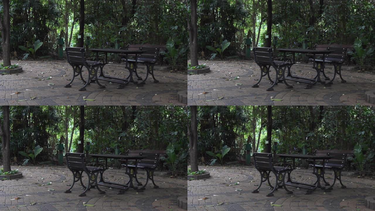 庭院、公园、森林、公共场所的长凳