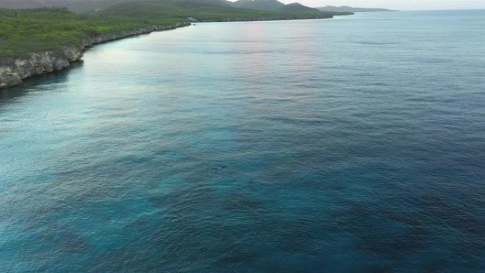 库拉索岛/加勒比海海岸的空中日出视图，有碧绿的水、悬崖和西蓬周围的游泳海豚