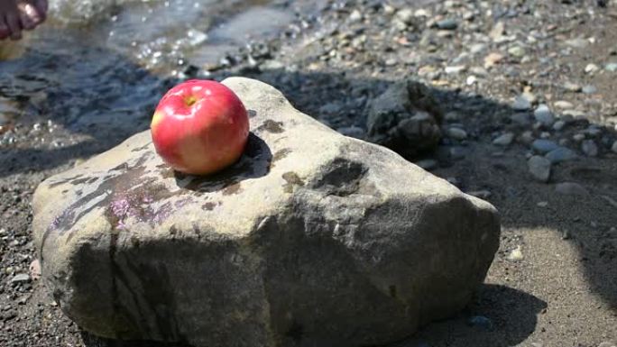 男子从河边的石头上捡起一个苹果