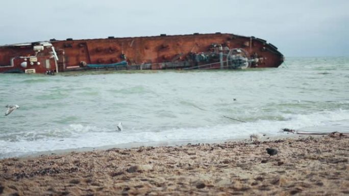 油轮在黑海沿岸坠毁。乌克兰敖德萨海滩上的生态灾难。海鸥在事故后被污染的海滩上觅食