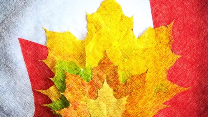 多种颜色的枫叶作为多元文化的象征，加拿大