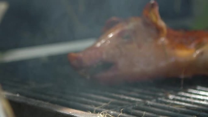 花园屋慢动作烧烤全烤猪。家庭烹饪烤猪肉