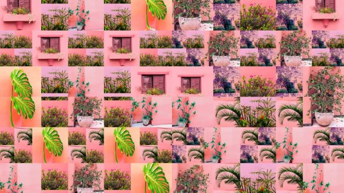 运动幻灯片设计。混合旅行照片。粉色时尚概念上的植物