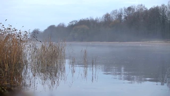 河上的白雾水面河水在雾天清晨