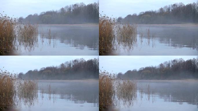 河上的白雾水面河水在雾天清晨