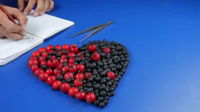 山楂浆果和野樱桃的心脏——健康和长寿的象征