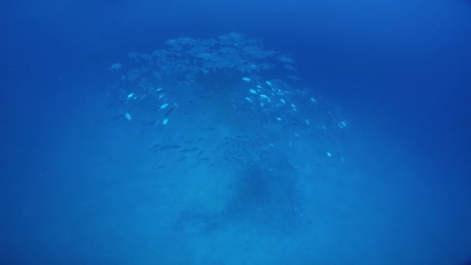 特鲁克潟湖著名沉船藤川丸