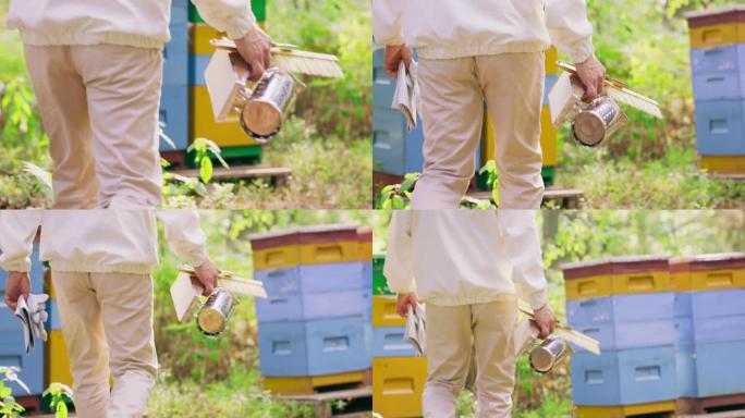 穿着白色防护服的养蜂人从相机向背景蜂箱走去。他右手拿着新吸烟者和刷子，左手拿着手套。专注于他的手和荨