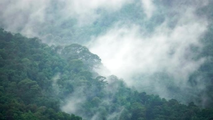 雨云覆盖热带森林山区雨季，清迈