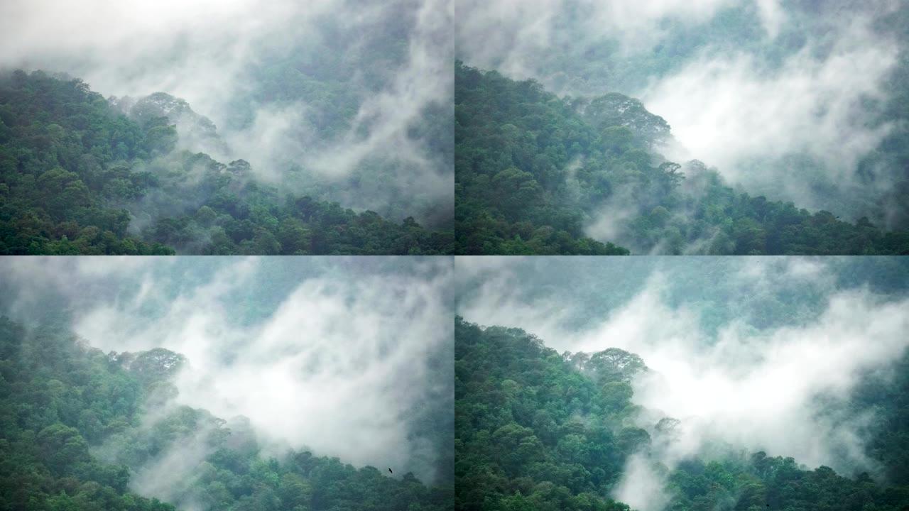 雨云覆盖热带森林山区雨季，清迈
