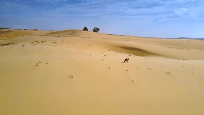 女人的身影在沙漠全景中