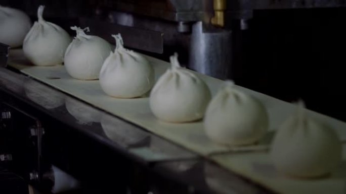 饺子厂的自动机器生产过程。新鲜的生水球落在传送带上。在食品工厂运行的工业机械