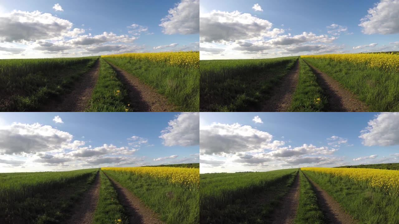 低空在盛开的芥末场上向后飞行，空中无人机射击。一条土路穿过一片明亮的黄色开花油菜籽 ..太阳和多云的