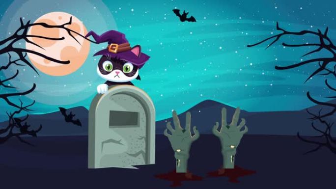万圣节快乐动画场景，墓地里戴着巫婆帽的小猫