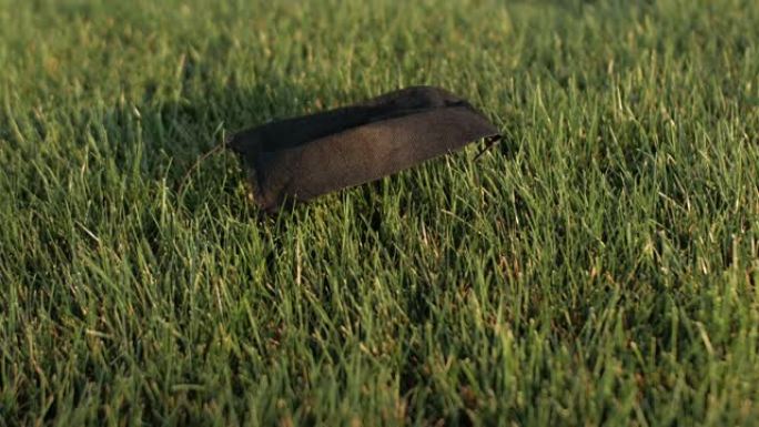 黑脸医用口罩躺在草地上