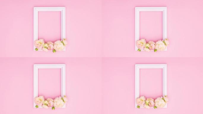 真正的粉彩玫瑰在白色浪漫框架中移动，用于粉红色主题的文本。停止运动