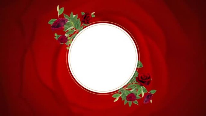 白色圆圈，叶子和玫瑰在红玫瑰上