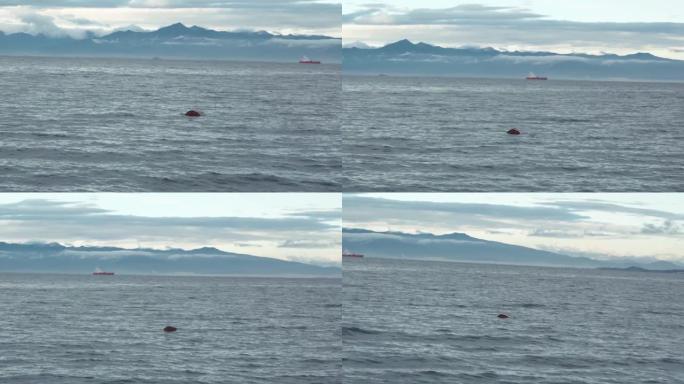 有毒废桶在水中游动。海洋中的红色罐子。