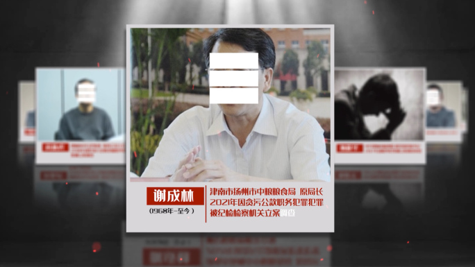 纪委监委 反腐犯罪嫌疑人关系网AE模板