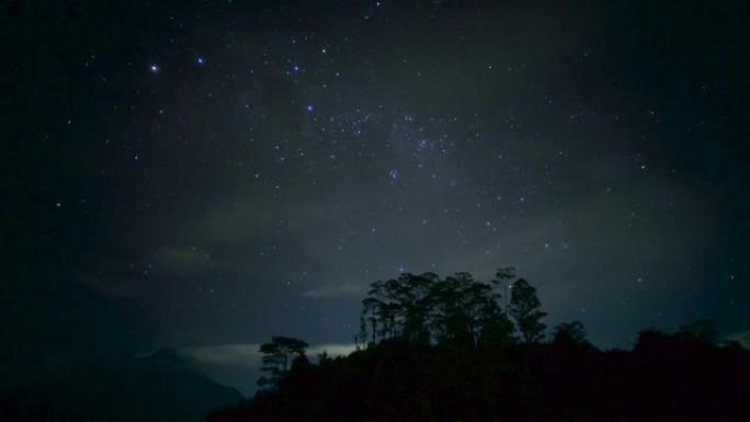 令人叹为观止的夜星在森林中的时光倒流。银河系在树木之间可见。云正在快速流逝。闪亮的星星在左边移动。极