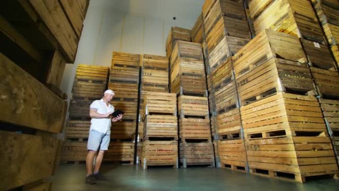 苹果存储。仓库。一堆堆装着苹果的木箱装在巨大的不透气储存冰箱里。男性员工在仓库使用平板电脑工作。苹果