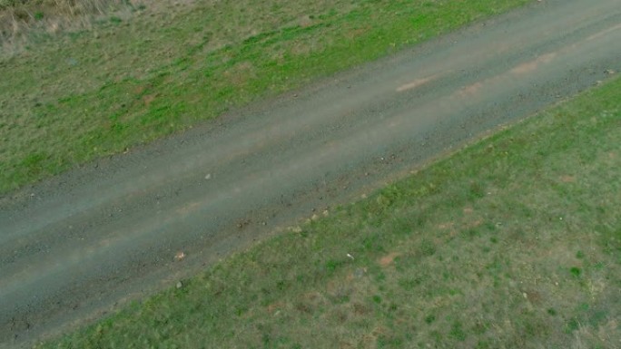 鸟瞰图无人机的繁荣或开阔的绿地的上升