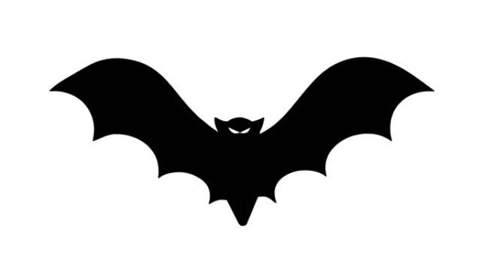白色背景上的飞行蝙蝠。万圣节背景