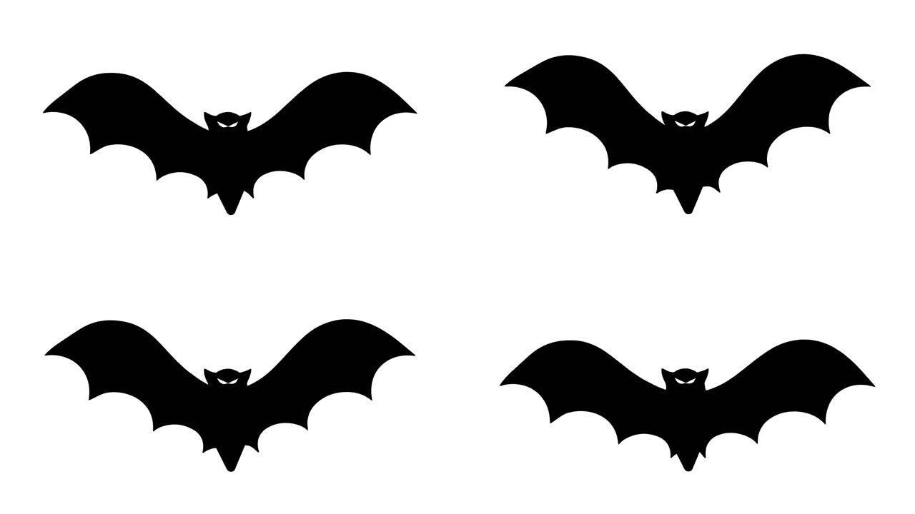 白色背景上的飞行蝙蝠。万圣节背景